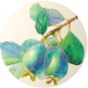 A look at how to use wet in wet to paint fruit.