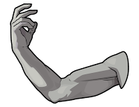 Arm illustration