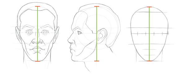 Head proportions chart: This is our first unit of measurement when placing the eyes as we draw the head.